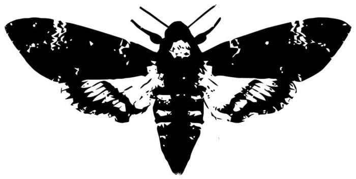 11054462_358504661003584_2100041365753896115_n